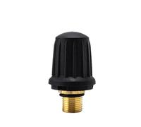 Compatibile con Kach Compatibile con Kärcher SG4/4 Parti for pulitori a vapore CTK10 Valvola di sicurezza in ottone SC2/SC4/SC5/SV1802(For SG4 2 SG4 4)