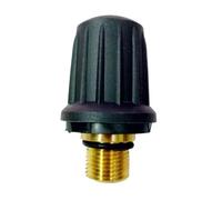 Compatibile con Karcher, valvola di sicurezza del vapore di ricambio for SC1.010 SC1.020 SC1.030 SC1.035B SC1125 SC1202 raccordo for pulitore a vapore 4.590-105.0(1 PACK)