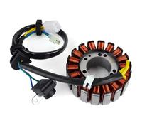 Compatibile Con Kymco Per Dink Per Street Per 300i ABS Bobina Statore Generatore Motocicletta Accessori Statore Magnete Motocicletta 31120-LEA7-E0B Bobina Statore Magneto
