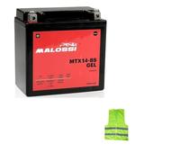 COMPATIBILE CON KYMCO Xciting I ABS E4 400 per anno 2016 al 2020 BATTERIA YTX14-BS MALOSSI MTX14-BS GEL FORNITA CARICA E PRONTA ALL’USO BATTERIE ATTIVA 12 AMPERE 12 VOLT 150X87X145MM