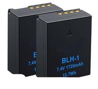 Compatibile con la batteria Olympus BLH-1 e il caricabatterie doppio for la fotocamera E-M1 Mark II E-M1 Mark III E-M1X(2 Battery)