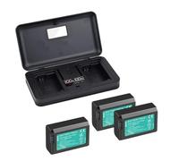 Compatibile con la batteria Sony NP-FW50 con caricabatteria 2 in 1 for fotocamere mirrorless selezionate(3 Battery 1 Charger)