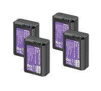 Compatibile con la batteria Sony NP-FW50 con tipo C for a6500 a6300 a6400 a6000 a6100 a5000 a3000 NEX-3 a7 7R a7R a7R II a7rii(4pcs Battery)