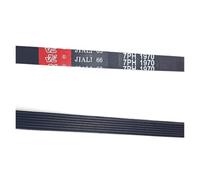 Compatibile Con La Cinghia Dell'asciugatrice 7PH1970 Esatto Durevole | Sostituisce 7PH1970,8065710. Nervature ad alta trazione, gomma resistente al calore. Correzione fai da te.(7PH1970-2pcs)