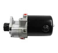 Compatibile Con La Pompa Del Servosterzo Massey Ferguson 897147M92 For Trattori 30 31 165 175 255 265 275 382 50C 50D