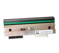 Compatibile con la testina di stampa termica Avery AP5.4 203DPI/300DPI for A4031 A4431(AP5.4 203DPI)