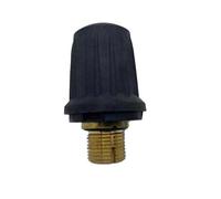 Compatibile con la valvola di sicurezza in ottone Karcher for accessori for pulitori a vapore SC1 SC2 SC4 SC5 CTK10 SV1802 SV1902 SG4-4 Ricambi for elettrodomestici(G4-4)