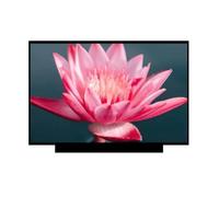 Compatibile Con Lo Schermo Del Laptop ThinPad, X390 X395 20Q0 20Q1 | Compatibile con Lenovo, 20SC 20SD 20NL 20NM, 13,3 pollici FHD 1080P non touch 30 pin LED