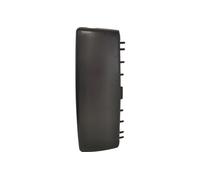 Compatibile con MAN TGX Copertura Alloggiamento Specchio Esterno Principale