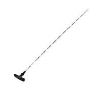 Compatibile Con Mercury Per Mountaineer 1997 1998 Strumento Di Misurazione Dell'astina Di Livello Dell'olio Del Cambio Automatico Per Auto F67Z6750BA Astina Olio Motore