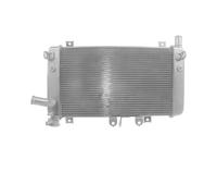 Compatibile Con Ninja Per ZX4R Per ZX4RR 2023 2024 2025 Radiatore Motore Raffreddamento Raffreddamento Serbatoio Acqua Radiatore Vaschette Di Troppo Pieno Del Liquido radiatore dell'acqua moto(Silver)