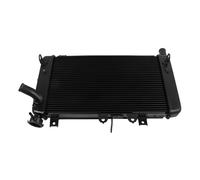 Compatibile con Ninja per ZX4R per ZX4RR 2023 2024 2025 Radiatore Motore Raffreddamento Raffreddamento Serbatoio Acqua Radiatore Vaschette di Troppo Pieno del Liquido radiatore dell'Acqua Moto(Black)