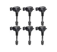 Compatibile Con NISSAN Per ALTIMA 2001-2006 Per ELGRAND 2004-2010 Per MAXIMA 2002-2008 Bobina Di Accensione Bobina Confezione Matita Bobina Bobina Candela(6PCS)