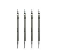 Compatibile Con Opel Per Insignia A Mk1 B20DTH 2009 2010 2011 2012 2013 2014 2015 2016 2017 Motore Doppio Nucleo Riscaldamento Candelette Bougie de préchauffage(4pcs)