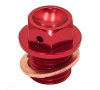 Compatibile Con Per CB1000 1995 Per CB1000SF 1992-1997 Per CBR250RR 1990-1999 Bullone Di Scarico Dell'olio Accessorio Per La Modifica Della Motocicletta