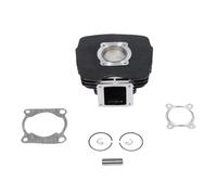 Compatibile Con Per DT125 AH 1974 1975 1976 1977 1978 1979 1980 1981 Moto Kit Cilindro 56mm Kit Pistone Guarnizione Cilindro 2A6-11311-00-00 444-11631-00-97 Kit Cilindro pistone