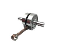 Compatibile Con Per DT230 Kit Di Montaggio Dell'albero Motore Per Motocicletta Parti Dell'albero Motore Del Motore Gruppo Biella Dell'albero Motore Per Motocicletta Albero Motore