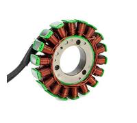 Compatibile Con Per EX500 Per Ninja500 1994-2005 Per Ninja500R 2006-2009 Accessori Per Bobine Dello Statore Del Generatore Per Moto 21003-1123 Statore di Bobina