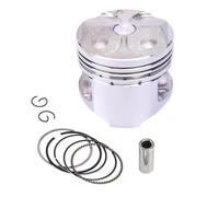 Compatibile con per FZR250R 1990-1995 per FZR250RR per EXUP 1996 Set Pistone E Segmenti per Motore di Motocicletta 1HX-11631-00 48.25mm 48mm 48.50mm Gruppo Anelli pistone(48.25mm)