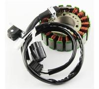 Compatibile Con Per Viking 1000 Per Professional 2006-2015 Bobina Statore Gruppo Statore Per Moto 8GC-81410-00 8GC-81410-10 statore delle bobine