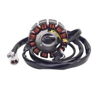 Compatibile Con Per Wr250f 2004 2005 2006 2007 2008 2009 2011 2012 2013 2014 Bobina Statore Generatore Moto 5UM814100900 5UM814103100 Motocicletta Statore bobine