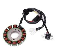 Compatibile Con Per WR250F 2004 2005 2006 2007 2008 2009/2011 2012 2013 2014 Bobina Statore Magneto 5UM-81410-09-00 5UM-81410-31-00 statore delle bobine