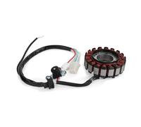 Compatibile Con Per YBR125ED 3D9 2008 2009 2010 2011 2012 2013 2014 Bobina Statore Magnete Generatore 3D9-H1410-10 3D9-H1410-12 Bobina dello statore