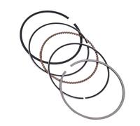 Compatibile Con Per YFM250XLC Per BEAR Per TRACKER 1999 2000 65.5mm 65.75/66mm +0.25 +0.50 Fasce Elastiche Per Pistoni Motore Gruppo Pistone Per Motocicletta Kit Pistone(0.75)