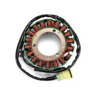 Compatibile Con Per ZZR600 Per ZX600 2006 2007 2008 Per ZX636 Per Ninja Per ZX-6R 2002 Bobina Cavi Statore Magneto Sostituzione 21003-1358 Statore Accensione Per Moto