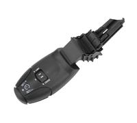 Compatibile Con Peugeot 206 Van 1999-2009 Per 206 2l 2m Per 207 Wa Wc Combinazione Per La Sostituzione Dell'unità Controllo Della Velocità