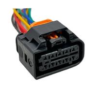Compatibile Con Peugeot Per 301 1801600-1 1 Set 10 Pin 1,2 Mm Auto Impermeabile Fari Cavi Elettrici Connettori Spina Cablaggio(10P Wire Harness)