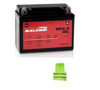 COMPATIBILE CON PIAGGIO NRG Power DD 50 per anno 2012 al 2015 BATTERIA YB4L-B MALOSSI MB4L-B IN GEL FORNITA PRONTA E CARICA PER L'USO BATTERIE ATTIVE 4,2 AMPERE 12 VOLT 120X70X92MM