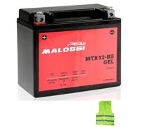 COMPATIBILE CON PIAGGIO Vespa GTS Super (M45200) 300 per anno 2008 al 2016 BATTERIA YTX12-BS MALOSSI MTX12-BS GEL FORNITA CARICA E PRONTA ALL’USO BATTERIE ATTIVE 10 AMPERE 12 VOLT 150X87X130MM