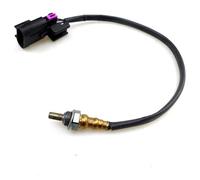 Compatibile Con Polaris Per General Per General 4 1000 2016 2017 2018 2019 2020 OEM: 4016021 4013979 28488580 Sensore Di Ossigeno Lambda O2