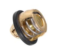 Compatibile con Polaris per Hawkeye 400 2011 2012 2013 2014 e Xpedition 425 2000 2001 2002 3084940 Termostato per Il Controllo del Flusso del Liquido di Raffreddamento del Motore