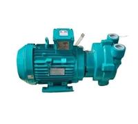 Compatibile con pompa per vuoto NASH Pompa a pressione negativa elettrica ad anello liquido 2BV2071ONC037P 2BV20710NC037P (2BV20710NC037P)