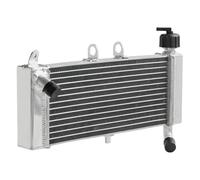 Compatibile con RS 125 4T 2011-2024 RS4 50 11 12 13 14 15 16 17 18 19 20 21 22 23 Tuono 50-125 17-25 Radiatore di raffreddamento del motore