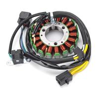 Compatibile Con Suzuki Per DR250R 1998-2000 Per DRZ250 2001-2007 Per DRZ400 2000-2013 Bobina Statore Generatore Motore Magneto 32101-13E00 32101-13E02 Bobina dello statore
