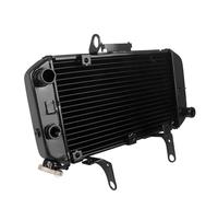 Compatibile Con Suzuki Per VSTROM650 Per DL650 2004 2005 2006 2007 2008 2009-2010 2011 Radiatore Per Motocicletta Protezione Per Serbatoio Dell'acqua Raffreddamento Radiatore Per Motocicletta