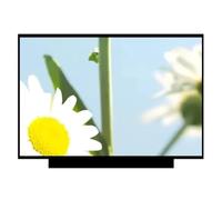 Compatibile Con Thinkpad, L14 P14S T14S G2 Thinkbook 14, Display LCD | Compatibile con Lenovo, display LCD sottile 1920*1080 FHD da 14 pollici(FHD IPS 45 NTSC)