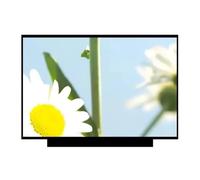 Compatibile Con Thinkpad, Pannello LCD Thinkbook 14 L14 P14S T14S G2 | Compatibile con Lenovo, display LCD sottile 1920*1080 FHD da 14 pollici(FHD IPS 45 NTSC)