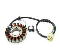 Compatibile Con Trx500 Per Foreman Per Rubicon 500 2001-2004 Per Gpscape 2004-2008 Bobina Statore Magnete Moto 31120-HN2-A21 31120-HN2-003 statore delle bobine