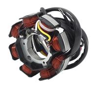 Compatibile con TTR50 TT-R50 2006-2020 1P6-H1410-00 1P6-H1410-01 Bobina di carica dello statore del motore 'alternatore del generatore di accensione della motocicletta Spare parts