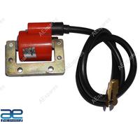 Compatibile con VESPA PX LML STAR STELLA Scooter HT BOBINA ACCENSIONE Nuovo