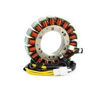 Compatibile Con VRX400T Per NC33 1996; Per NV600 Per Shadow 600 1993 1994; Bobina Statore Per Moto Bobina Statore Per Accensione Generatore Per Moto Statore di Bobina