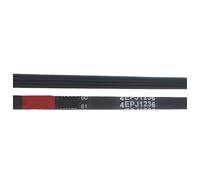 Compatibile Con WHIRPOOL, Compatibile Con BAUKNECHT, Compatibile Con VESTEL, 461975021821 Cinghia for Rondella 4PJE1236 Cinghia Di Trasmissione for Rondella(1pc4PJE1236)