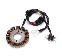 Compatibile Con WR250F 2004 2005 2006 2007 2008 2009 Moto Magneto Statore Bobina Accensione Generatore Motore 5UM-81410-09-00 5UM-81410-31-00 Statore Accensione Per Moto