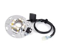 Compatibile Con YZ250 Per Monster Per YZ250N2ME 2022 Bobina Di Accensione Magnete Rotore Per Polo Magneto Motore Statore Bobina Generatore 5CU-85560-10 Statore Accensione Per Moto