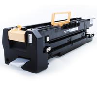 Xerox Gruppo tamburo XER5550DR – Compatibile con Phaser 5500/5550 60K