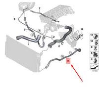 Compatibile per Tubo flessibile del liquido di raffreddamento del radiatore Bmw 5 F10 per radiatore dell'olio della trasmissione 17128571804 originale